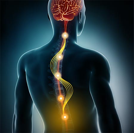 Spinal cord stimulation is effective for chronic back pain